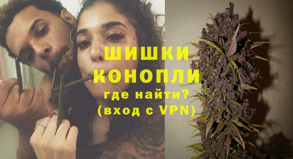 первитин Богородицк