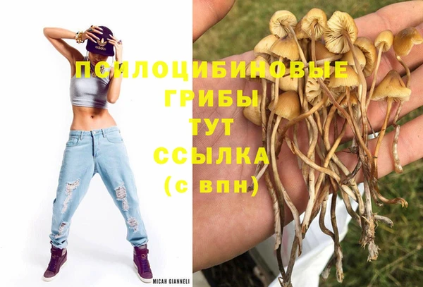первитин Богородицк