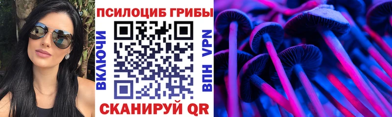 ОМГ ОМГ   Коммунар  Галлюциногенные грибы Psilocybe  где купить наркоту 