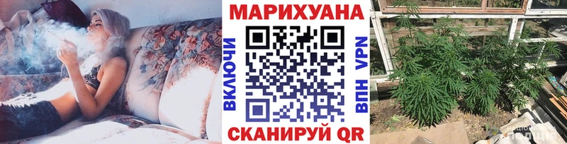 Конопля план  Коммунар 